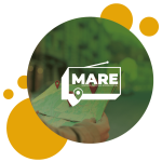 Mare Mare